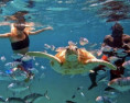 /album/fotogaleria-karibik-island-hopping-zajezd-vy-a-my/island-hopping-zajazd-00-16-jpg1/